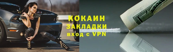 твердый Алексин