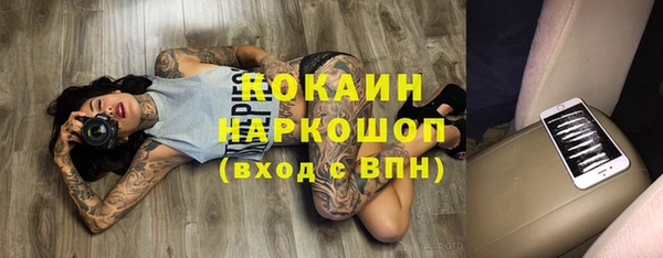 твердый Алексин